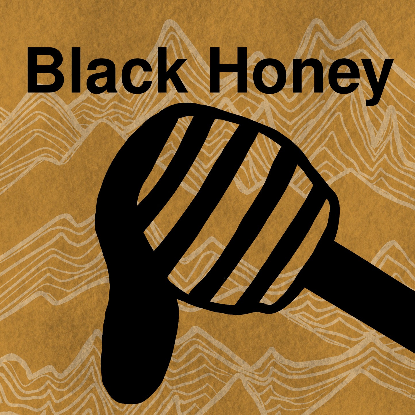 Black Honey - Costa Rica La Pastora SHG