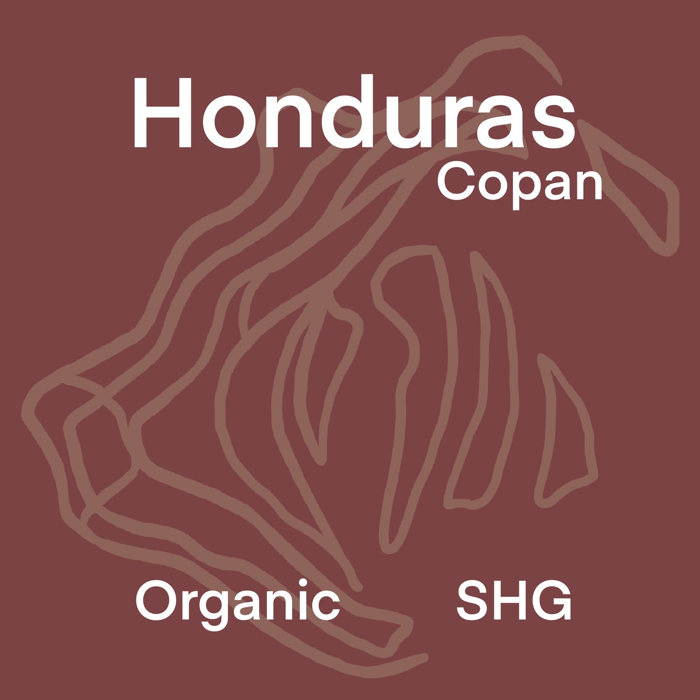 Organic Honduras Copan SHG