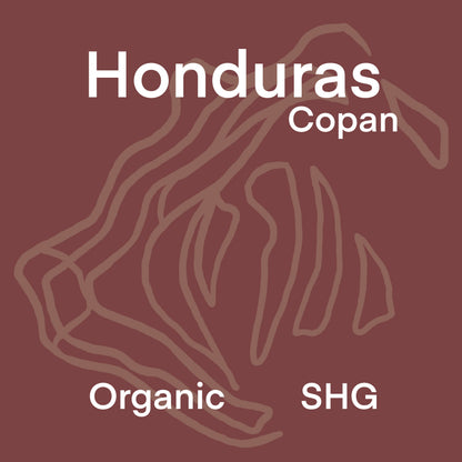 Organic Honduras Copan SHG