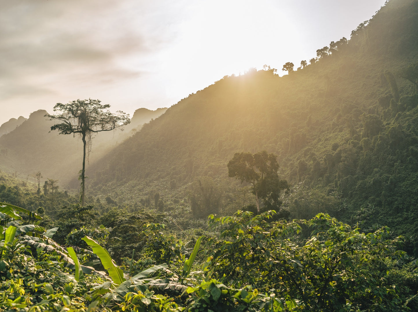 Costa Rica la Minita